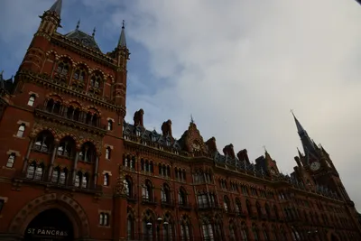 DSC_1230 (Large).JPG